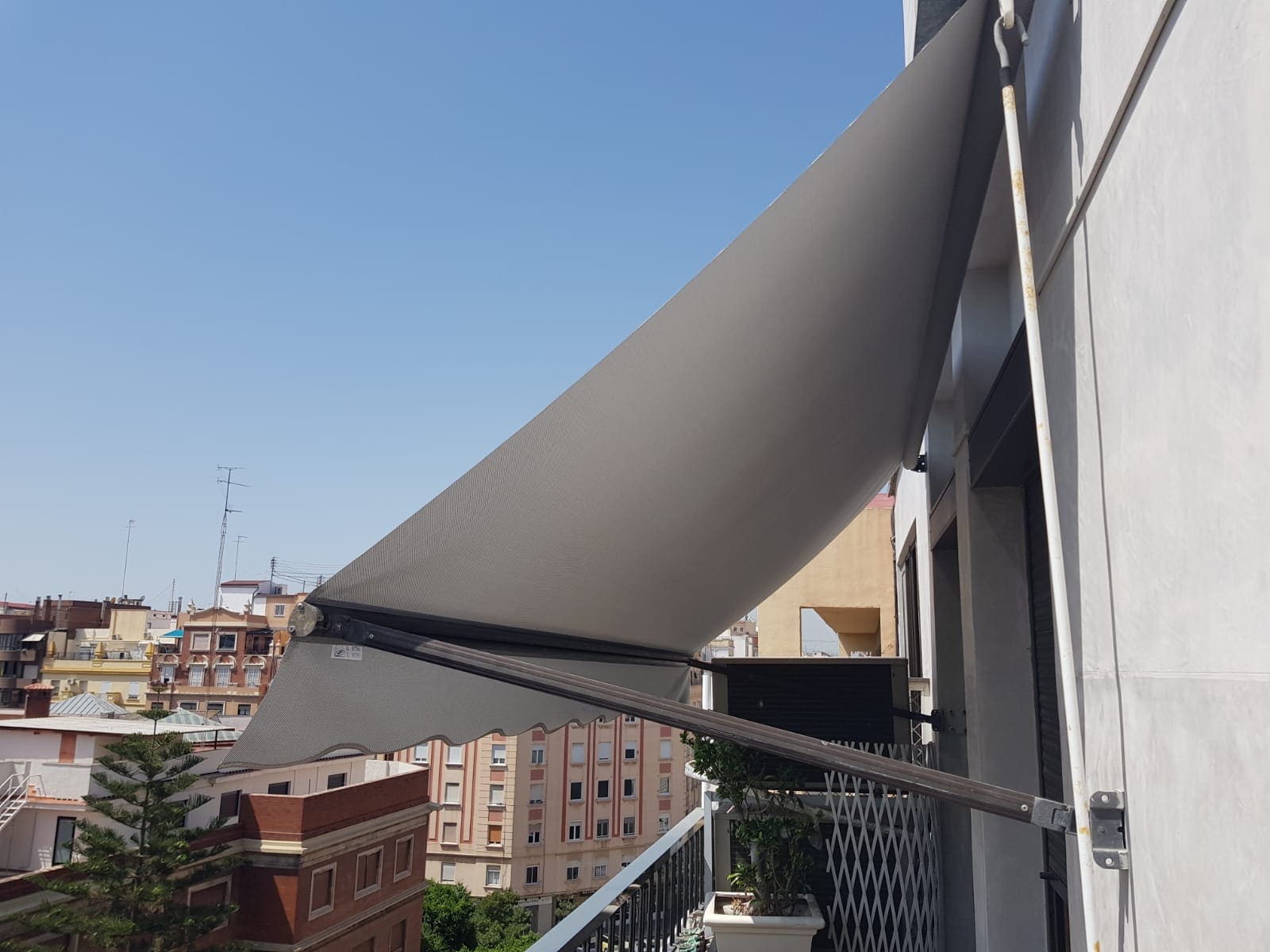 Estor blanco punto recto.