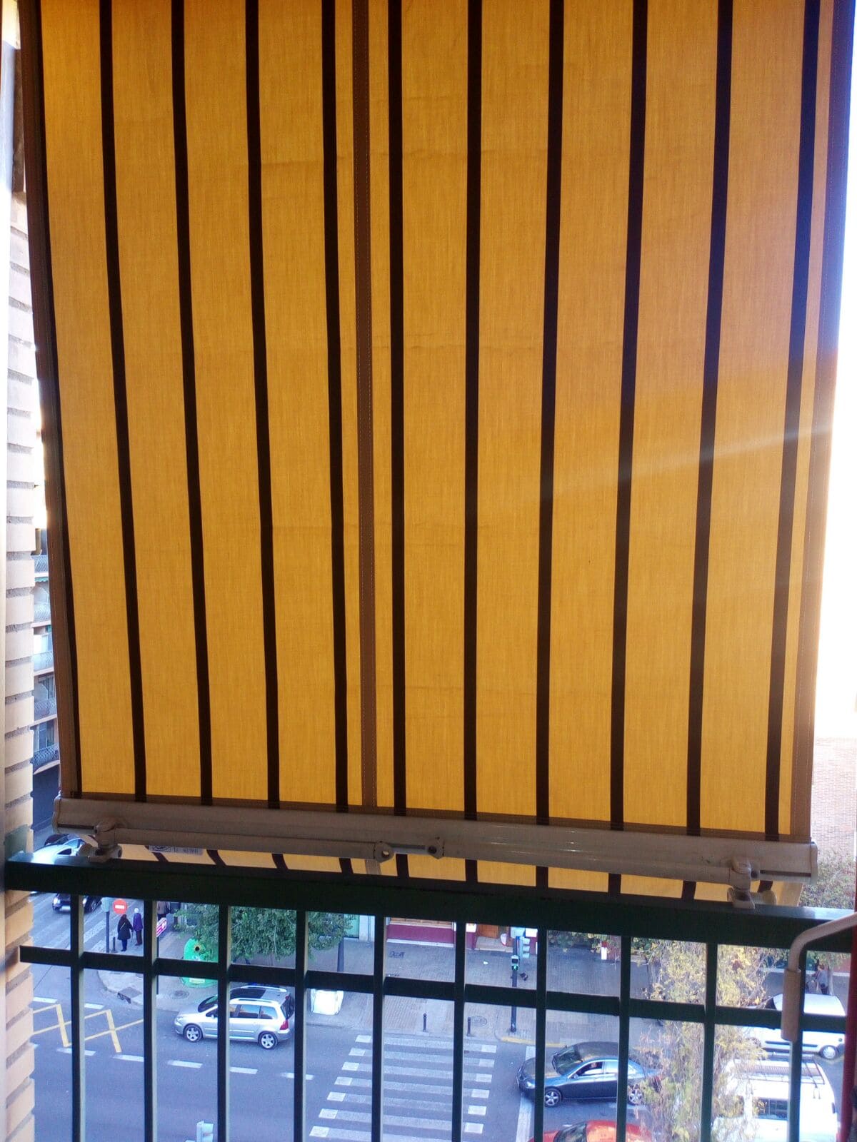 Estor amarillo con lineas delgadas negras